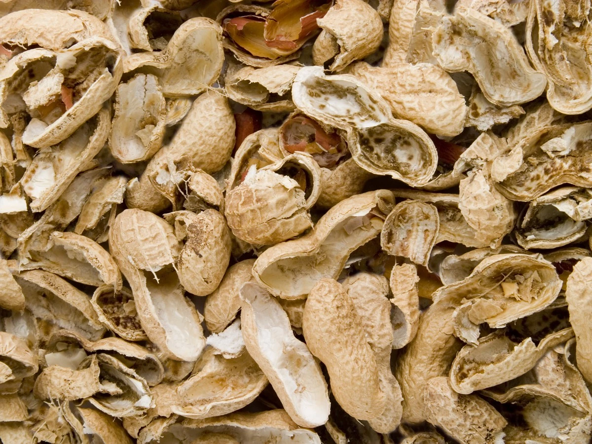 Dlaczego naukowcy każą nam przestać wyrzucać łupiny po orzeszkach - image 1