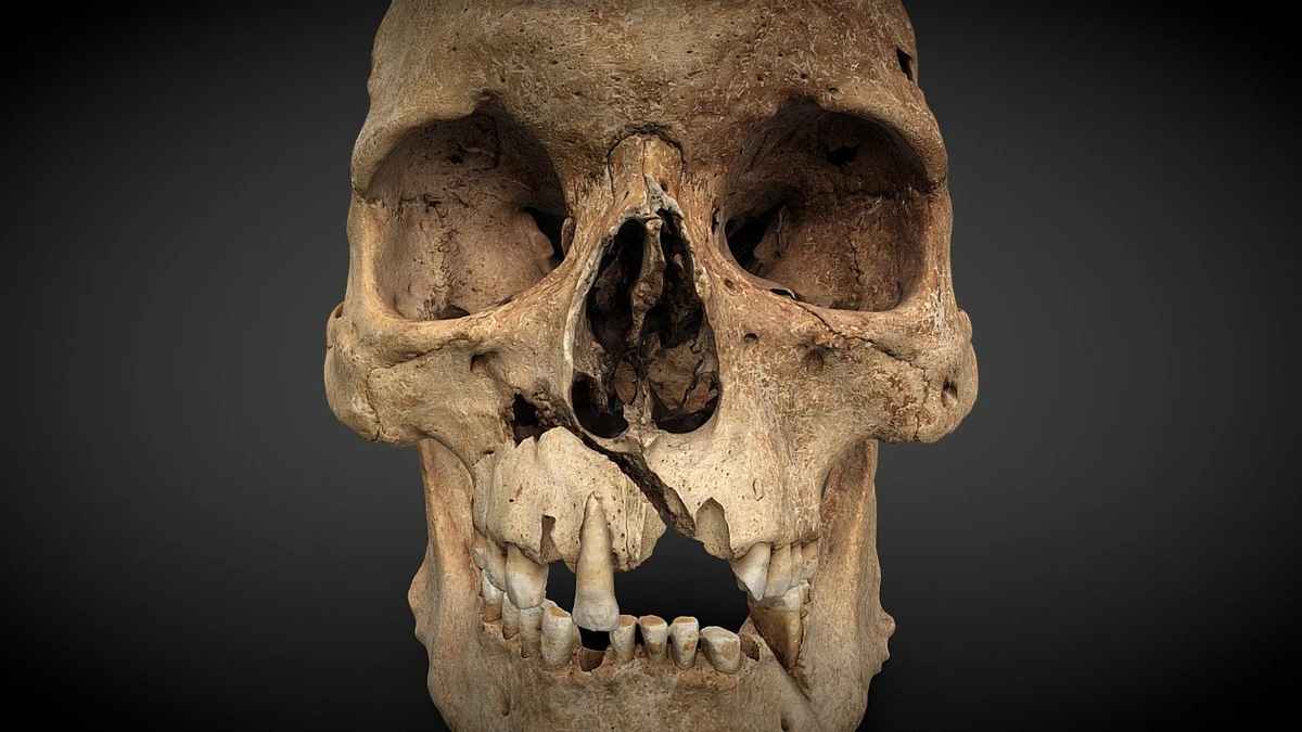 Dlaczego naukowcy z Harvardu wrócili do starej bazyliki po 22 latach - image 1