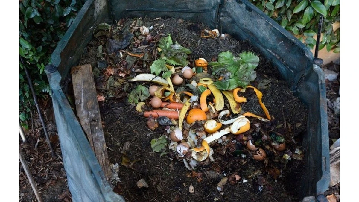 Dlaczego warto wsypać szklankę gryki do kompostownika jesienią