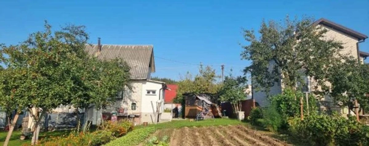 Dlaczego warto zrezygnować z obornika: ta jedna roślina czyni cuda z glebą w jeden sezon