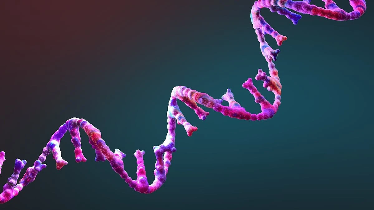 Dlaczego mała cząsteczka RNA może tłumaczyć początek życia na Ziemi