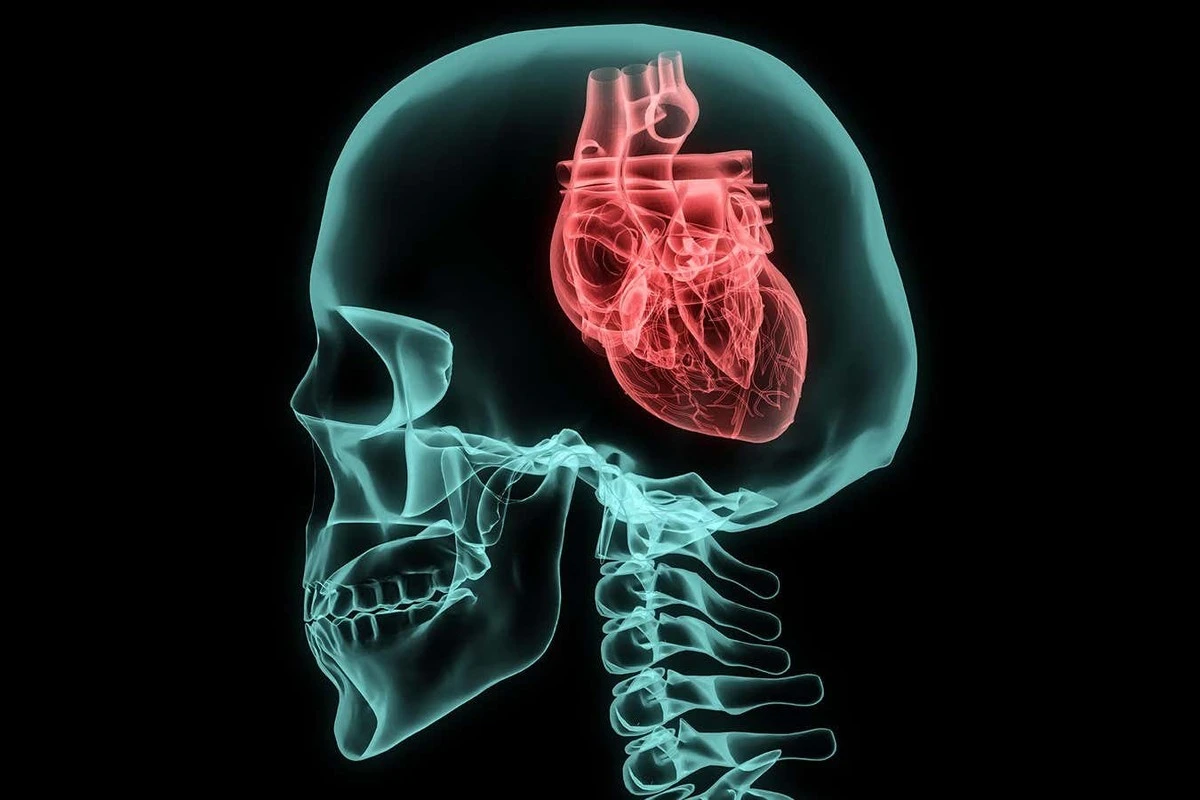 Zmienność rytmu serca: jak sprawdzić czy twój organizm jest przebodźcowany