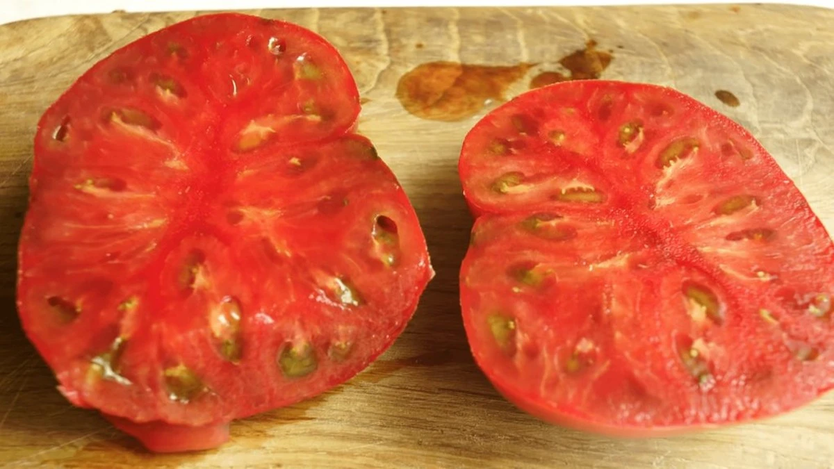 Dlaczego doświadczeni ogrodnicy wybierają fioletowe pomidory zamiast czerwonych