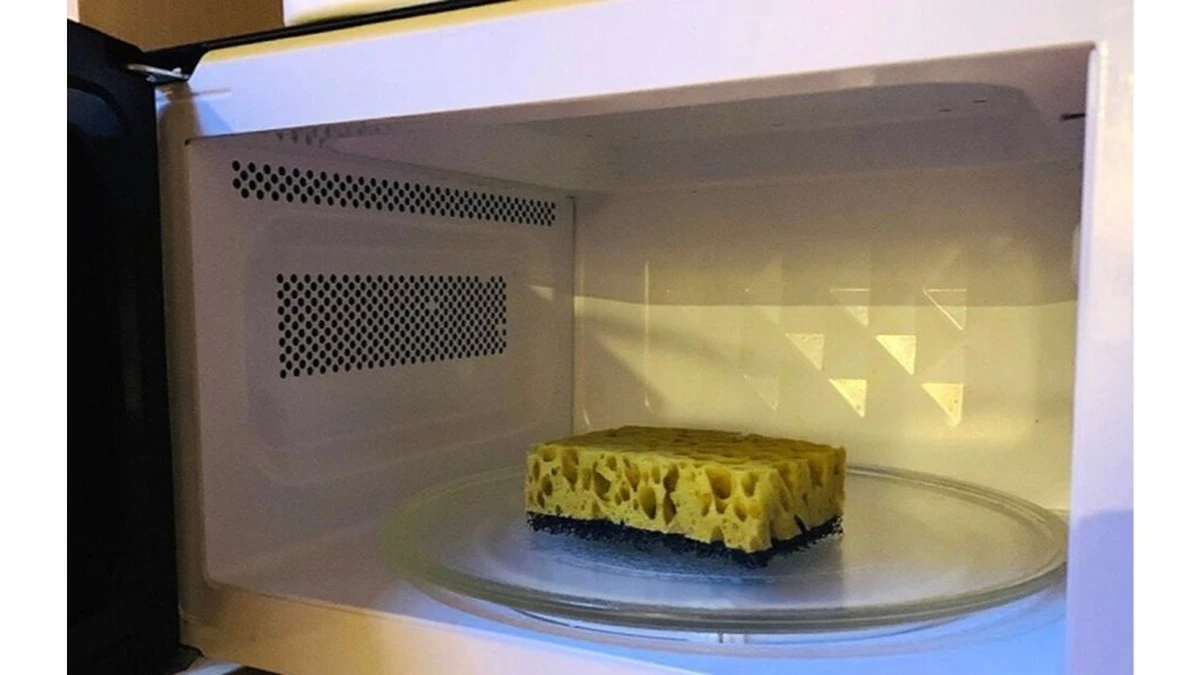 Dlaczego twoja gąbka kuchenna bywa brudniejsza niż deska sedesowa