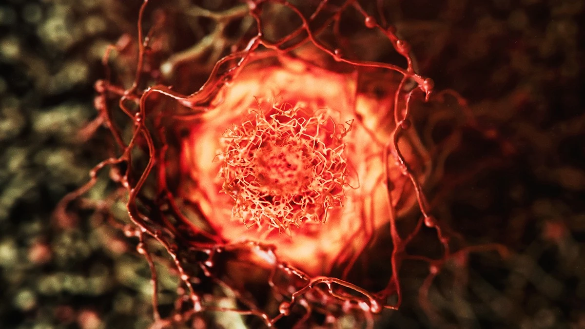 Dlaczego popularny związek ze znanych suplementów może przyspieszać wzrost raka