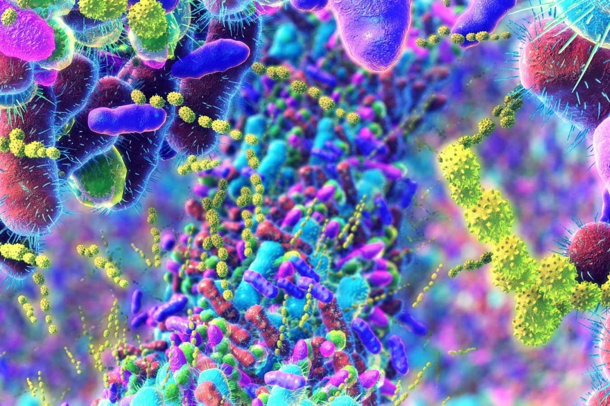 Dlaczego twoje życie w mieście zmienia poziom hormonów płciowych