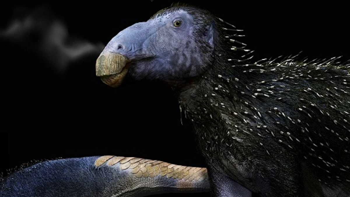 Dlaczego paleontolodzy badający nową skamielinę mówią o skórze przypominającej kolce jeża