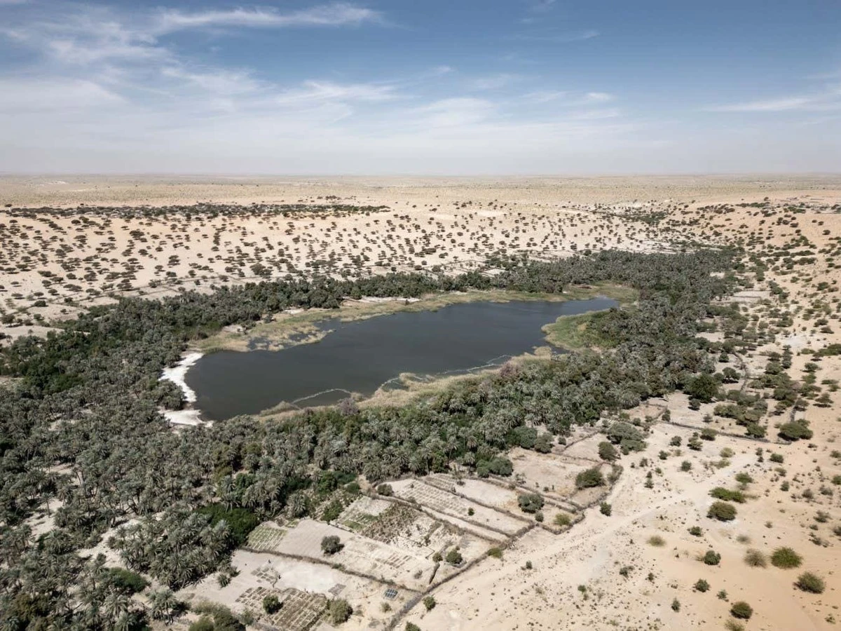 Piętrzące się wydmy kontra afrykańska zieleń: dlaczego oazy Sahara znikają z map