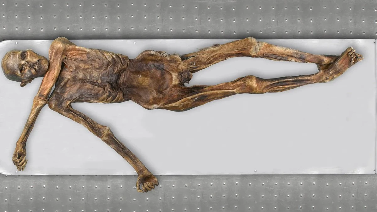 Ötzi wciąż żyje? Odkryto mikroorganizmy, które mogą być aktywne po 5 tysiącach lat - image 1