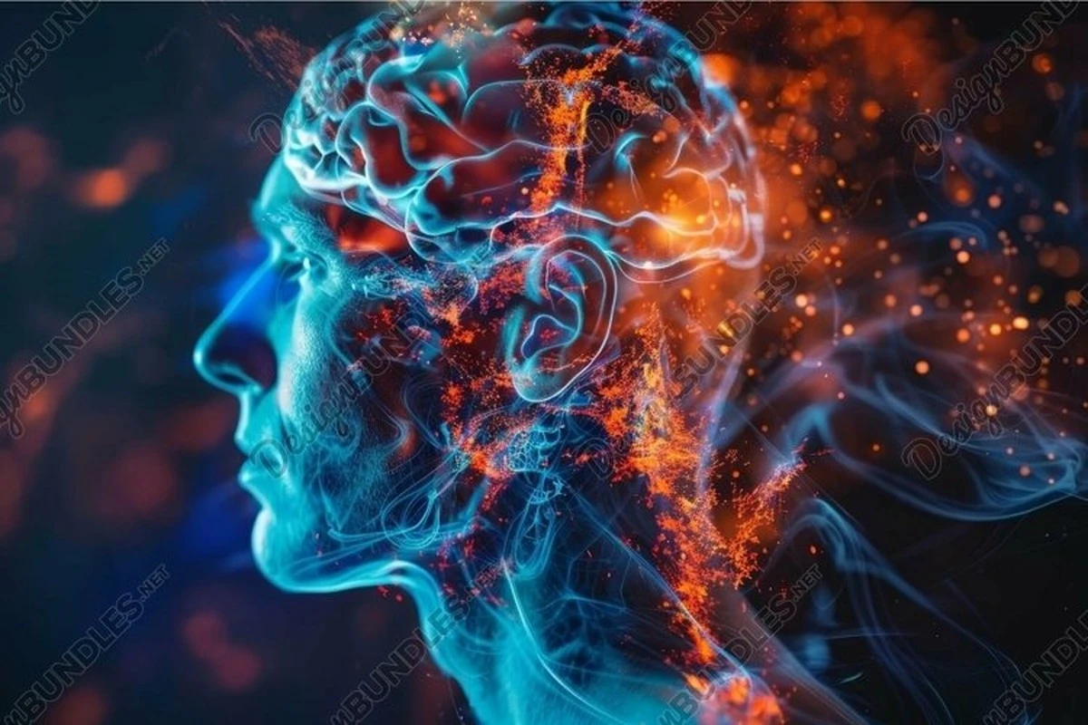 Dlaczego naukowcy stworzyli mapę 350 teorii na temat Twojej świadomości - image 1