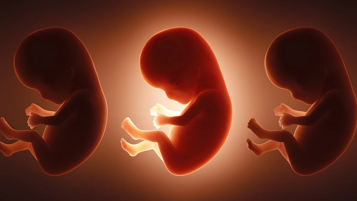 Rzeczywista liczba toksyn we krwi pępowinowej noworodków jest wyższa, niż sądzono