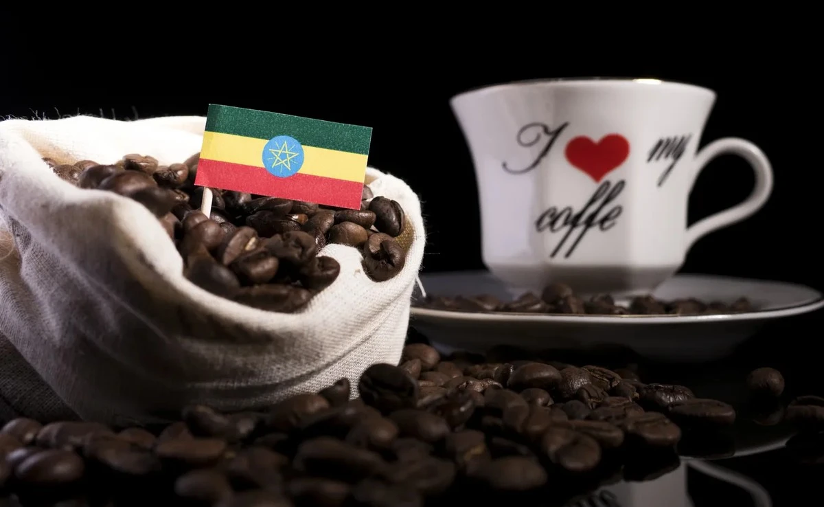Dlaczego kawa z Etiopii smakuje zupełnie inaczej niż ta, którą kupujesz w markecie