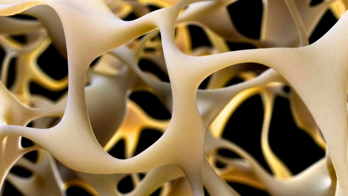 Dlaczego naukowcy skupili się na genie GPR133 w walce o mocne kości