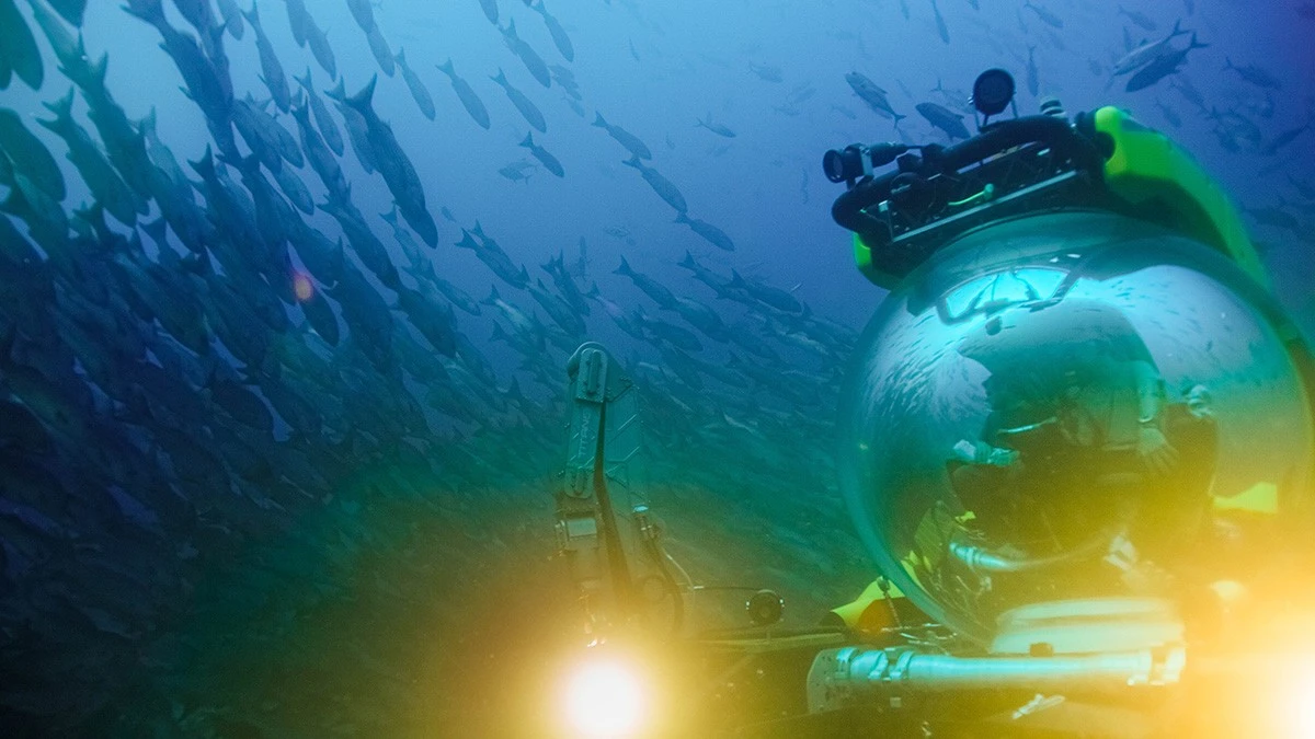 Siedem kilometrów pod powierzchnią oceanu odkryto cmentarzysko wielorybów - image 1
