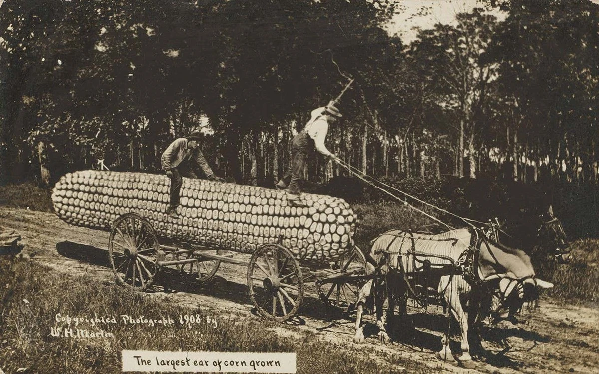 Dlaczego myślimy, że manipulacja zdjęciami to nowość? Oto historia sprzed wieku