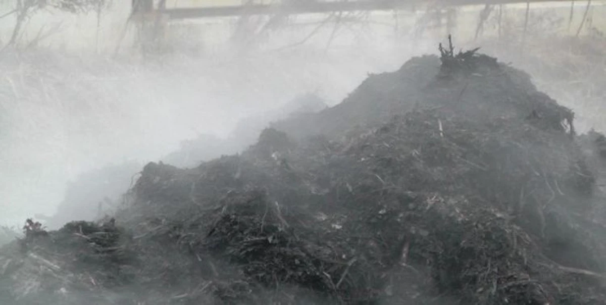 Dlaczego Twój kompost umiera zimą: 1 błąd niszczy Twoje zbiory - image 1