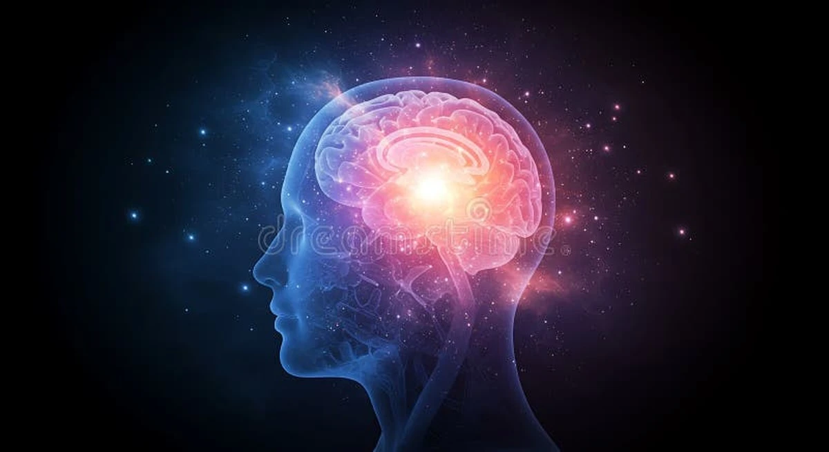 dlaczegoniektor-extra-1.webp Dlaczego niektórzy seniorzy mają pamięć jak u studenta: naukowcy odkryli konkretną przyczynę - image 1