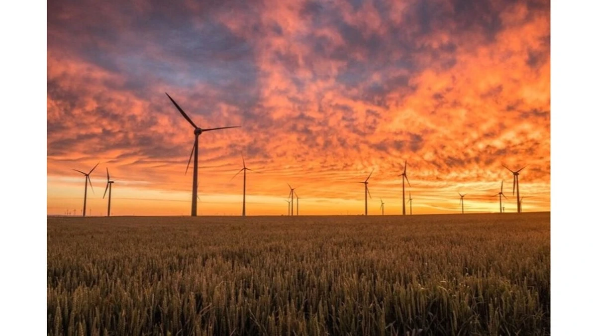 Dlaczego boimy się dźwięków, których nie słyszymy: prawda o farmach wiatrowych