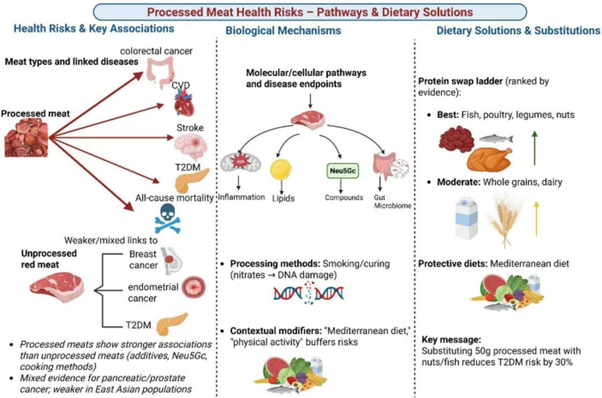 Dlaczego WHO stawia parówki obok papierosów: ukryte zagrożenie na Twoim talerzu - image 1