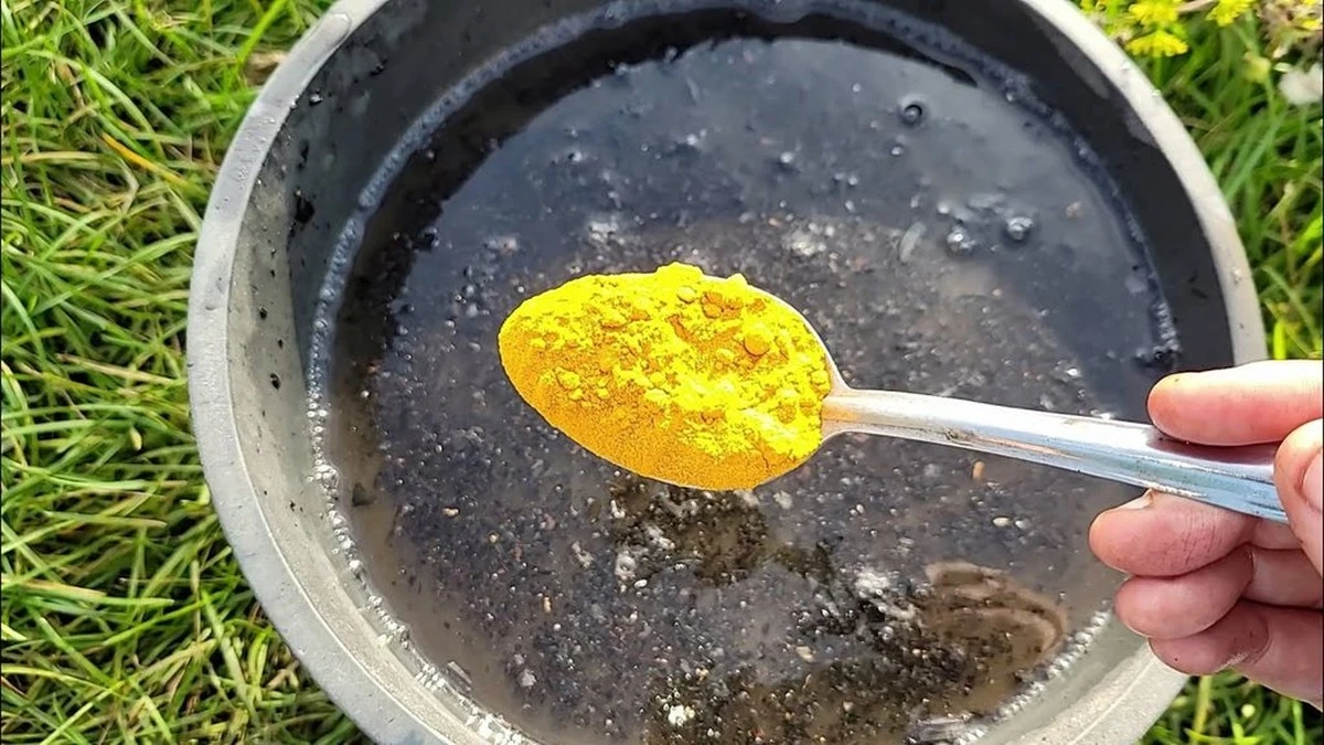 Dlaczego warto wsypać dwie łyżki kurkumy do gleby po zbiorach pomidorów