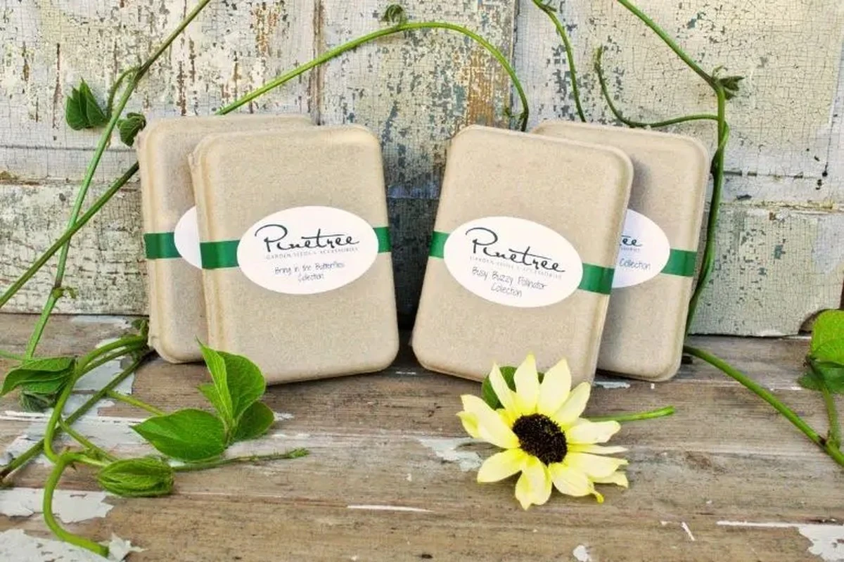 Te trzy litery na opakowaniu nasion decydują o twoich zbiorach – koniec z kupowaniem kota w worku - image 1