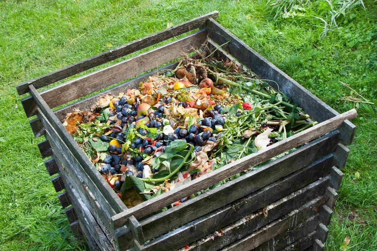 Dlaczego doświadczeni ogrodnicy dodają skorupki jaj do kompostownika - image 1