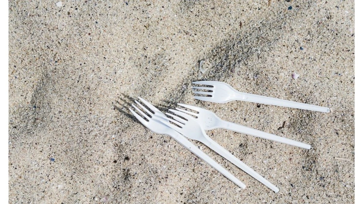 Dlaczego doświadczeni ogrodnicy wbijają plastikowe widelce w ziemię obok pomidorów