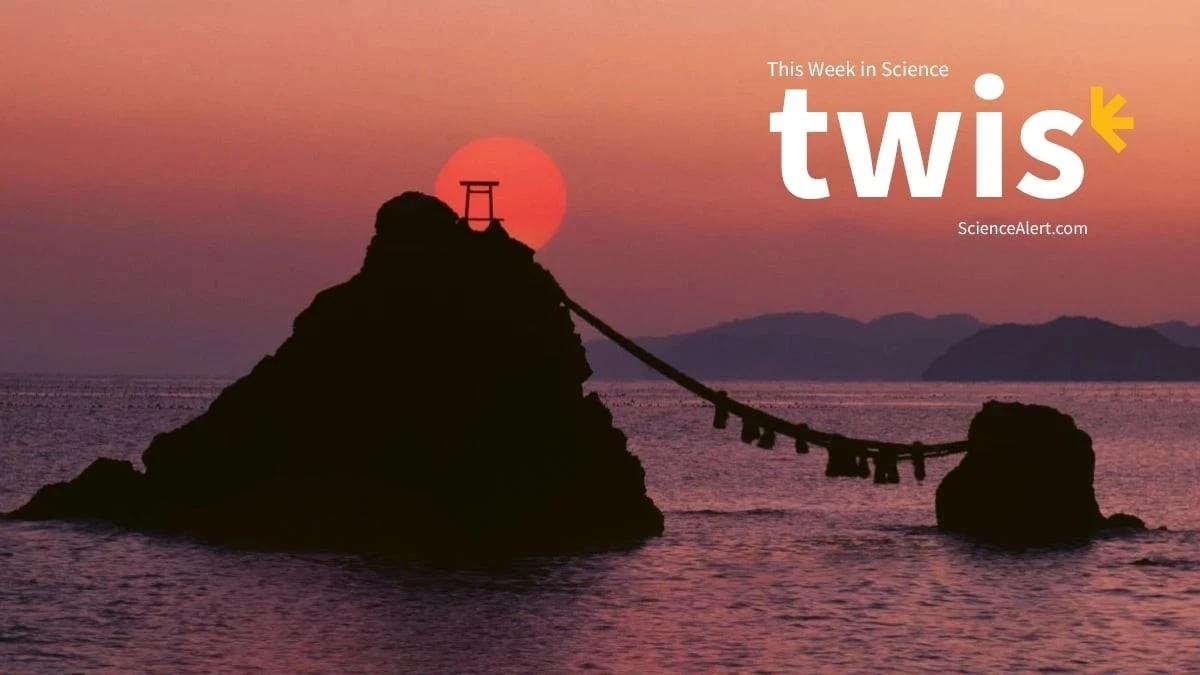 Jak trzęsienie ziemi w Japonii zmieniło mapę świata: 5 najważniejszych odkryć naukowych tygodnia