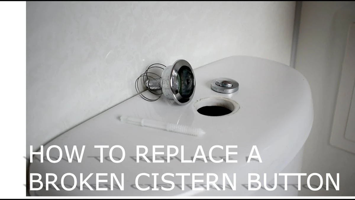 Dlaczego warto wrzucić szczoteczkę do zębów do spłuczki toaletowej - image 1