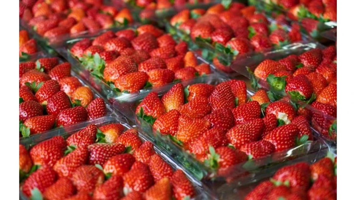 Dlaczego truskawki z targu wcale nie muszą być lepsze od tych z supermarketu