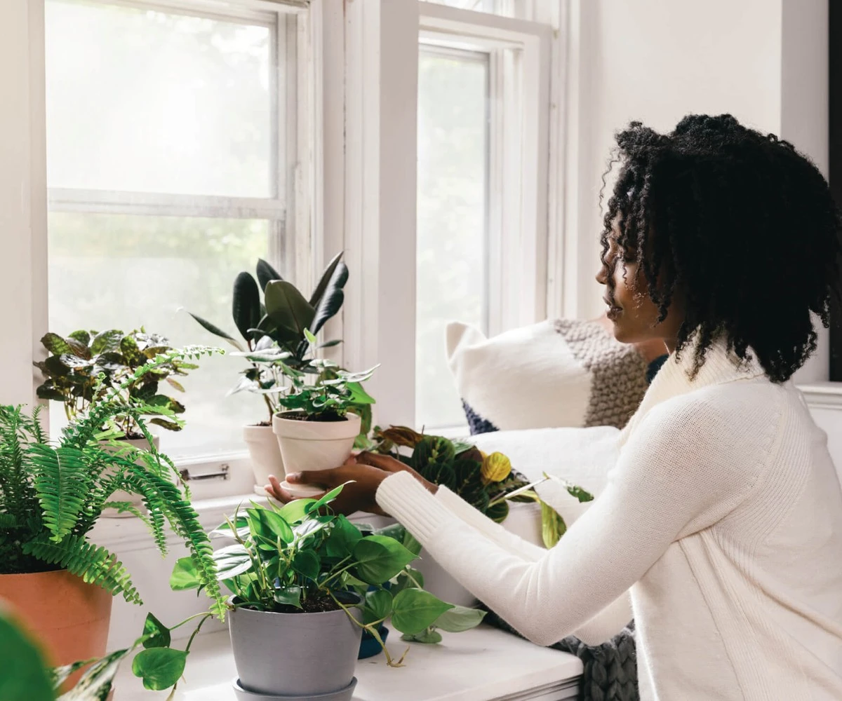 myslaamzeopadaj-extra-1.webp Myślałam, że opadające liście wiosną to norma. Trzy tabletki z apteki udowodniły, że się myliłam - image 1