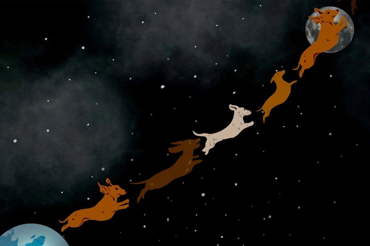 Dlaczego do lotu na Księżyc potrzebujesz 728 milionów jamników