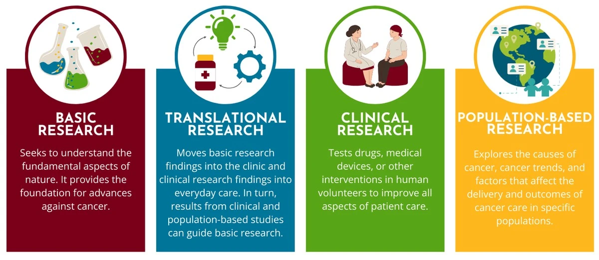dlaczegoosobywz-extra-1.webp Dlaczego osoby w związkach rzadziej chorują na nowotwory: nowe wnioski naukowców - image 1