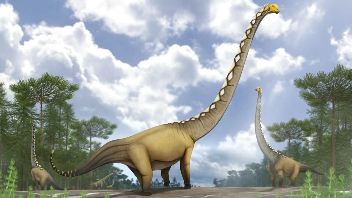 Jeden kręg, który zmienił historię: odkryto nieznany gatunek gigantycznego dinozaura