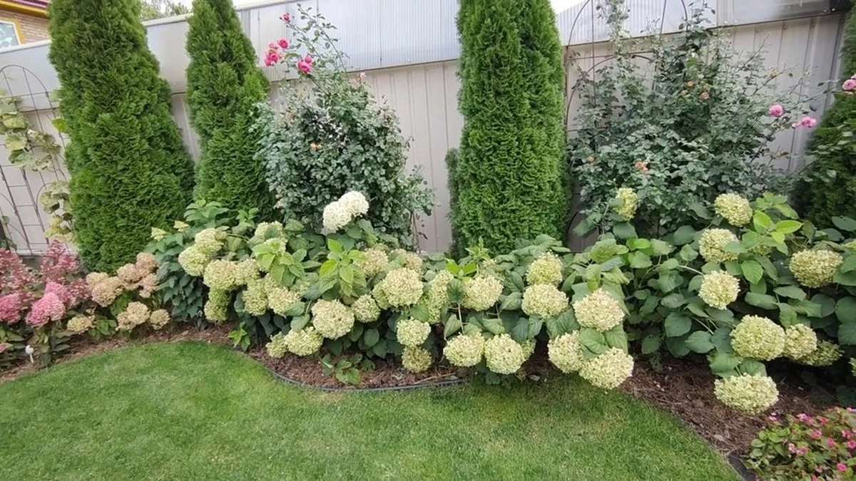 Specyficzny gatunek bylin, który warto posadzić obok hortensji