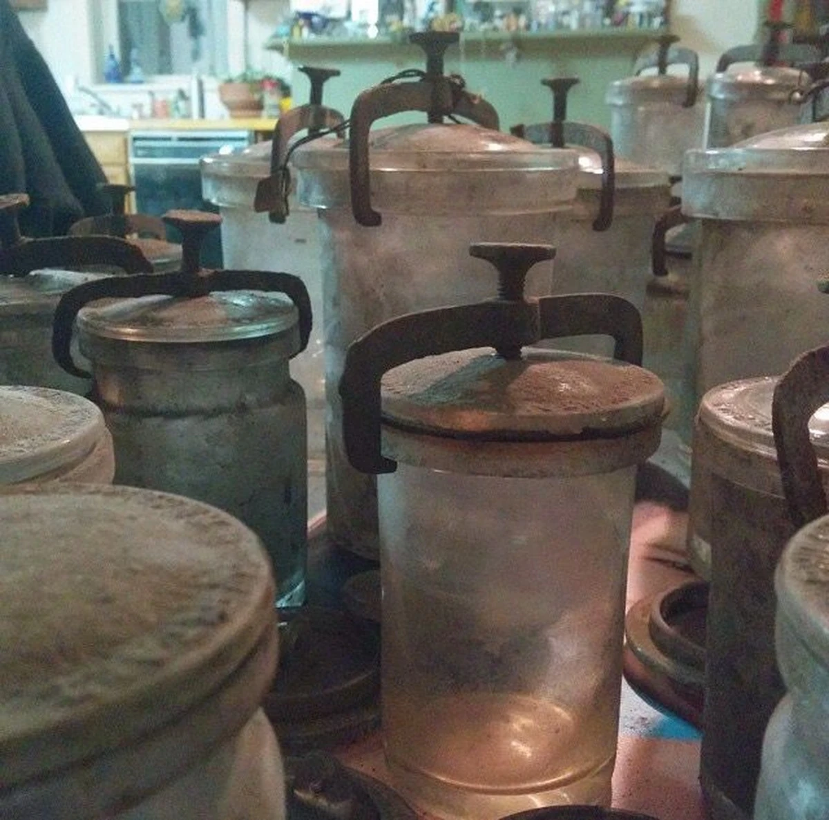 cozawieraypucak-extra-1.webp Co zawierały płuca kobiety z XVIII wieku? To odkrycie zmienia wszystko - image 1