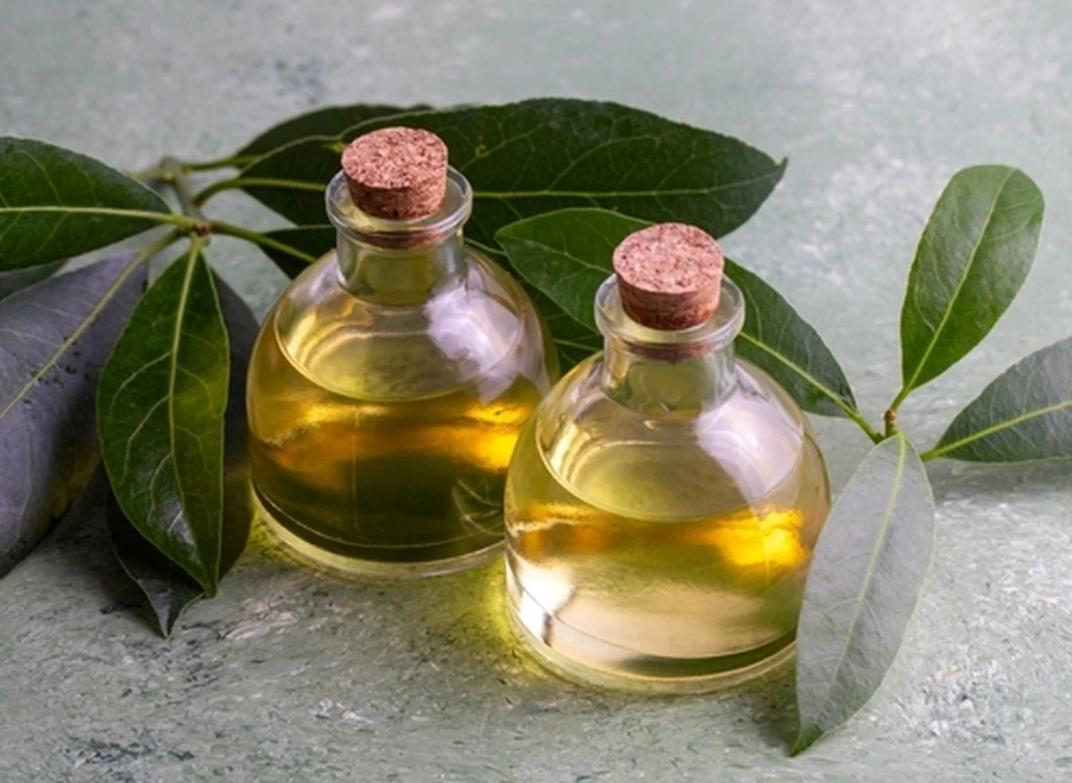 Dlaczego doświadczone gospodynie zawsze trzymają butelkę oleju laurowego w szafce