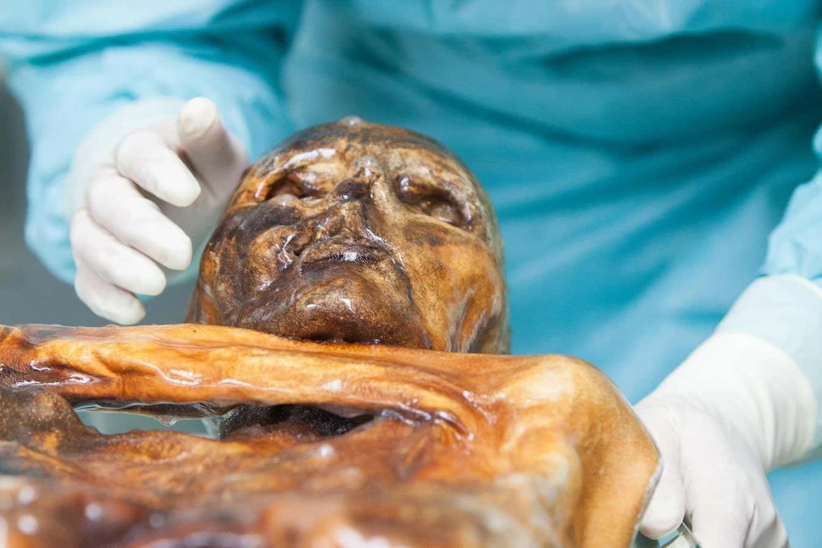 Ötzi wciąż żyje? Odkryto mikroorganizmy, które mogą być aktywne po 5 tysiącach lat