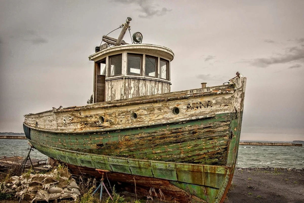 Dlaczego „Rose of Nevada” to film, o którym będziesz myśleć jeszcze długo po napisach końcowych - image 1