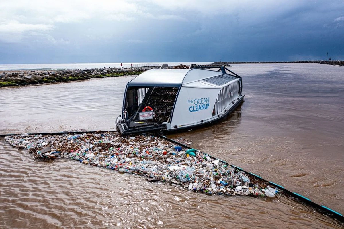 wrzucili500tysi-extra-1.webp Wrzucili 500 tysięcy ton muszli do oceanu. Początkowo chcieli ich zakazać, a potem wydarzyło się to - image 1