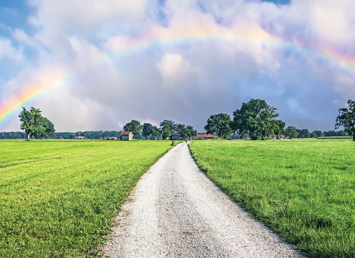Gwałtowne załamanie pogody: dlaczego zima wraca w kwietniu - image 1
