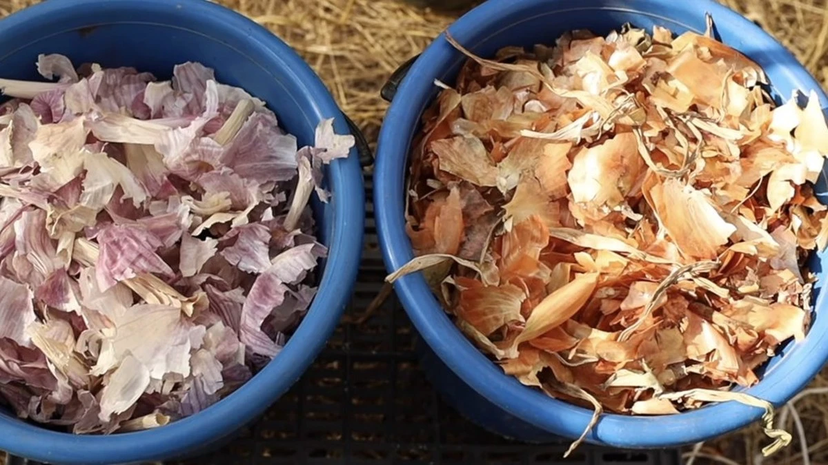 Dlaczego warto dolewać wodę po ogórkach do barszczu