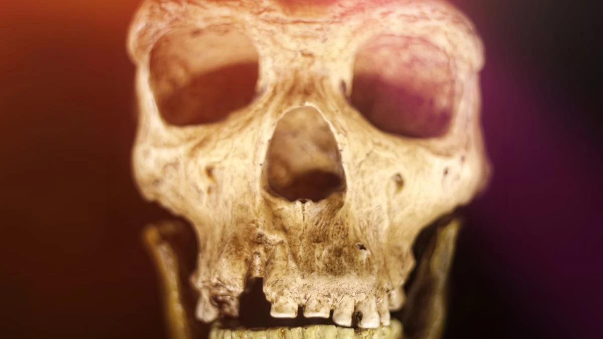 Ludzie i neandertalczycy żyli obok siebie przez 20 tysięcy lat. Nowe odkrycie w jaskini zmienia historię