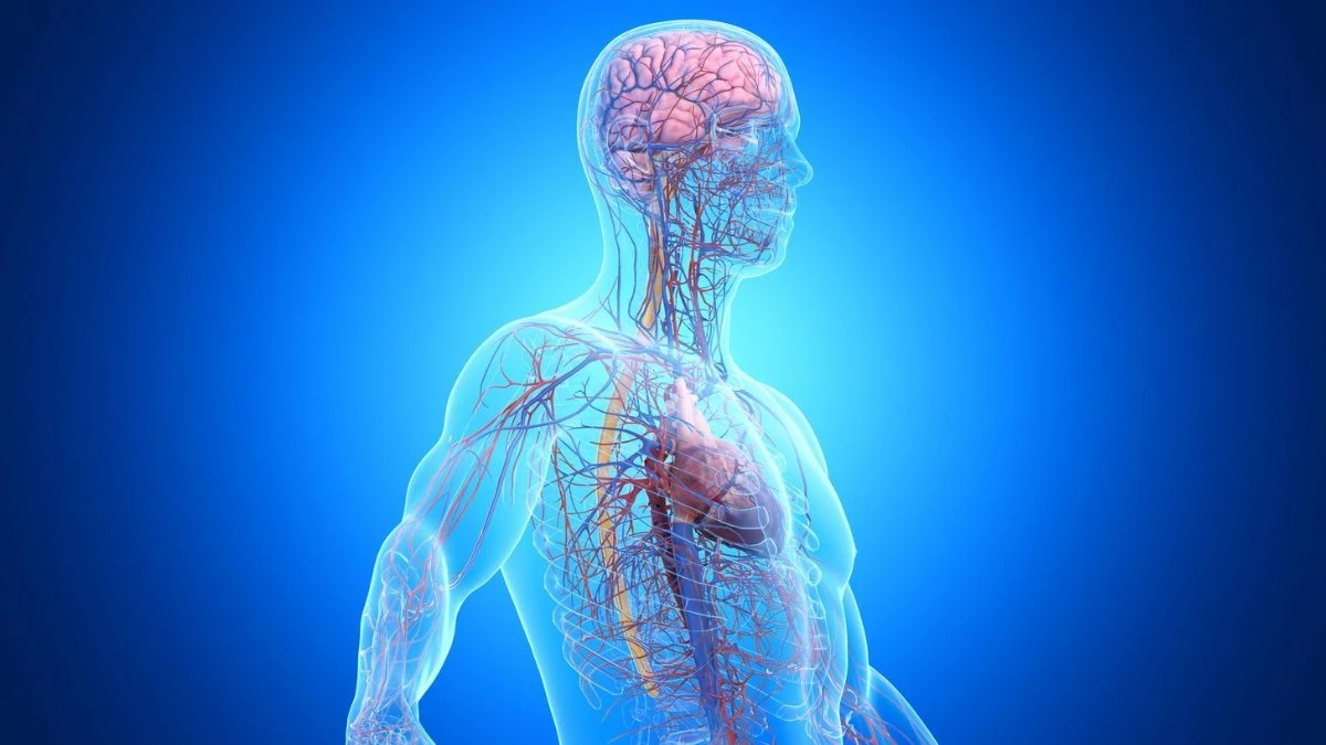 Co 3. przypadek otępienia ma związek z ciałem, a nie z mózgiem