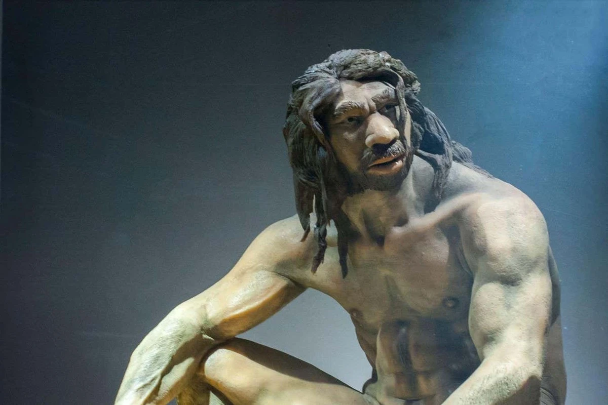 Dlaczego rok 2025 wywrócił do góry nogami wszystko, co wiedzieliśmy o pochodzeniu człowieka