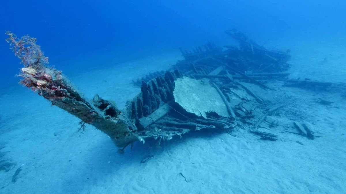 Rzymski wrak statku zdradza sekret trwałości sprzed 2000 lat - image 1