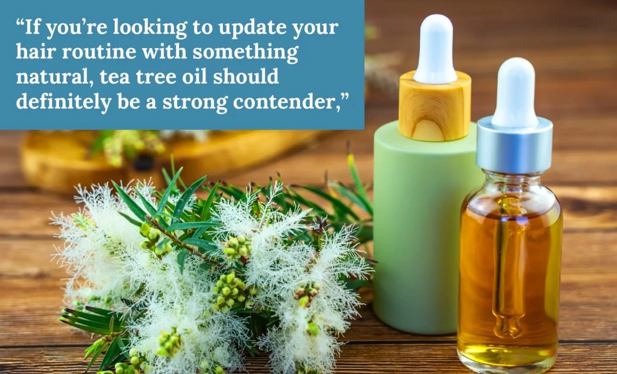 Dlaczego fryzjerzy dodają trzy krople olejku z drzewa herbacianego do szamponu - image 1
