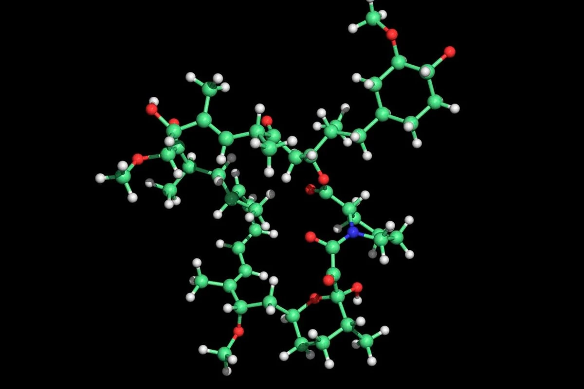 Dlaczego rapamycyna u jednych wydłuża życie, a u innych wcale nie działa