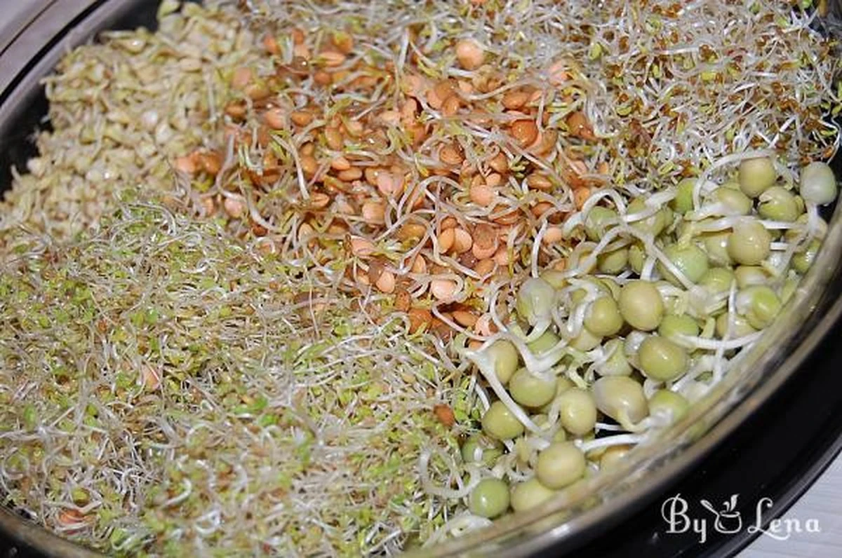 dlaczegodoswiad-extra-1.webp Dlaczego doświadczeni ogrodnicy kupują w aptece bandaż zamiast ziemi do siewu - image 1