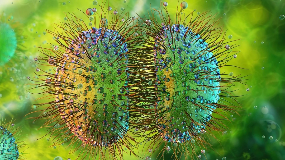 Dlaczego brytyjscy lekarze apelują do gości nocnych klubów: 27 przypadków poważnej infekcji